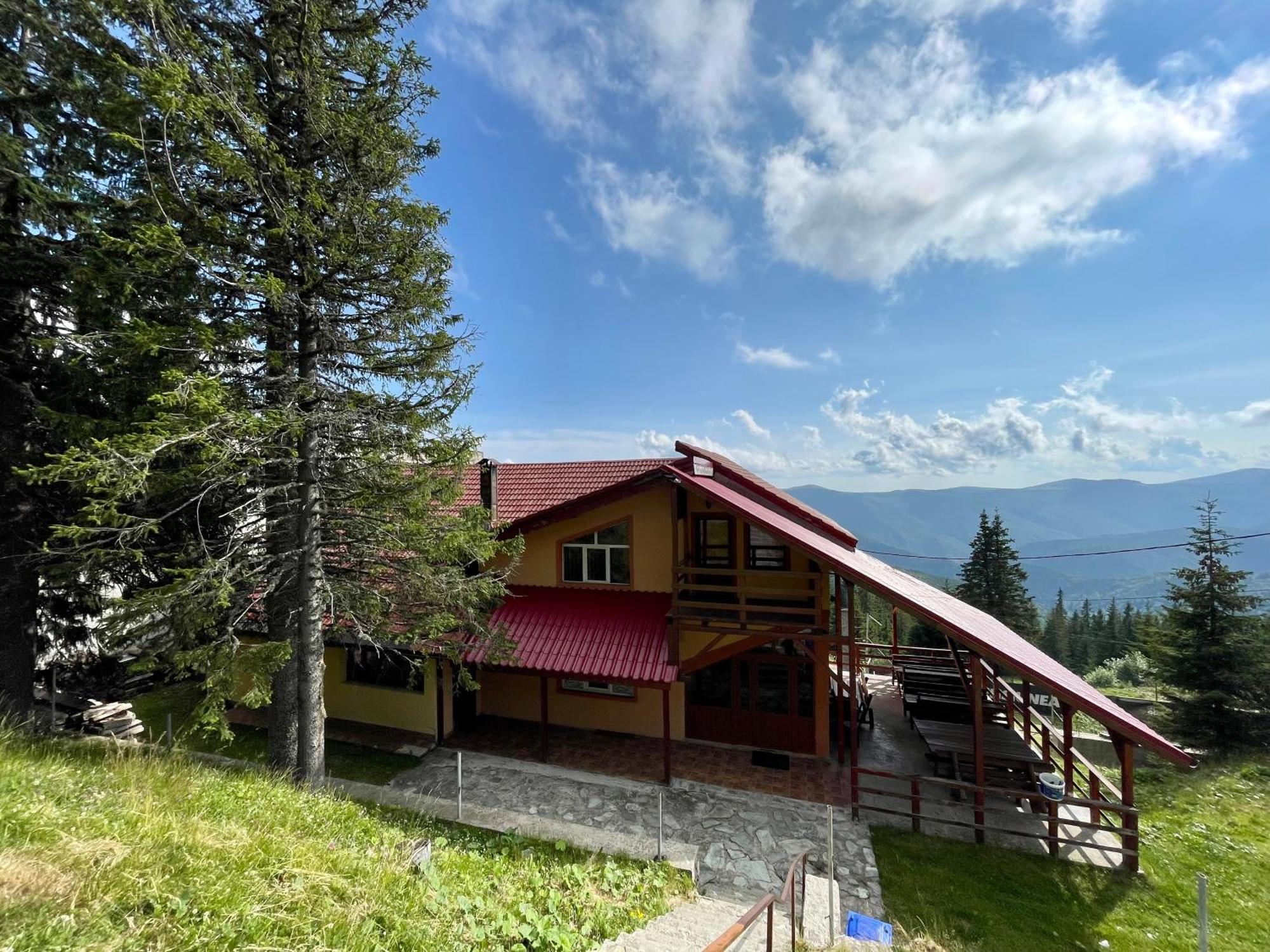Casa De Vacanta Trei Brazi Рынка Экстерьер фото