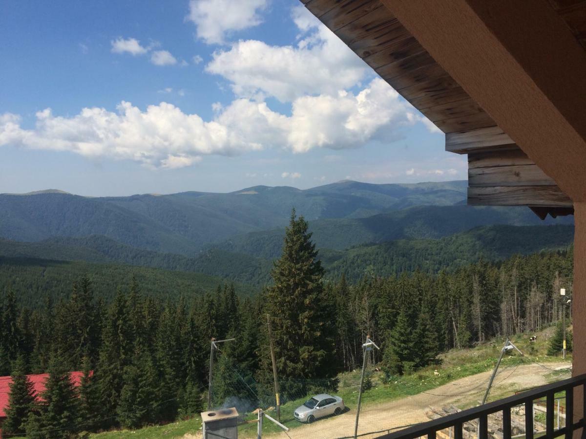 Casa De Vacanta Trei Brazi Рынка Экстерьер фото